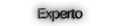 Experto Experto
